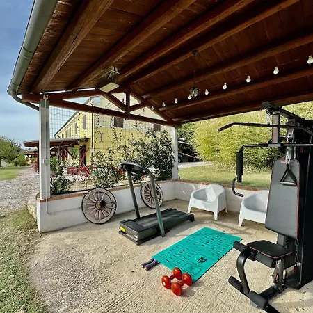 Historic In With Swimming Pool, Barbecue, Gym, Olive Grove And Garden Ferienhaus Senigallia