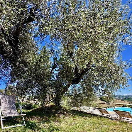 Vakantiehuis The Quercia With Swimming Pool In Senigallia Countryside Senigallia