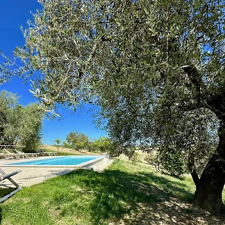 Vakantiehuis The Quercia With Swimming Pool In Senigallia Countryside