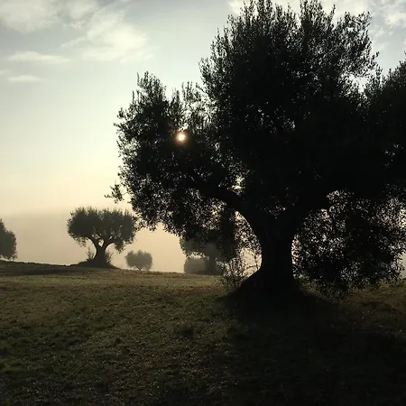 The Quercia With Swimming Pool In Senigallia Countryside Vakantiehuis *