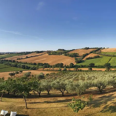 Vakantiehuis The Quercia With Swimming Pool In Senigallia Countryside *
