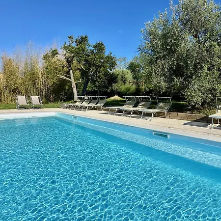 Historic In With Swimming Pool, Barbecue, Gym, Olive Grove And Garden Senigallia