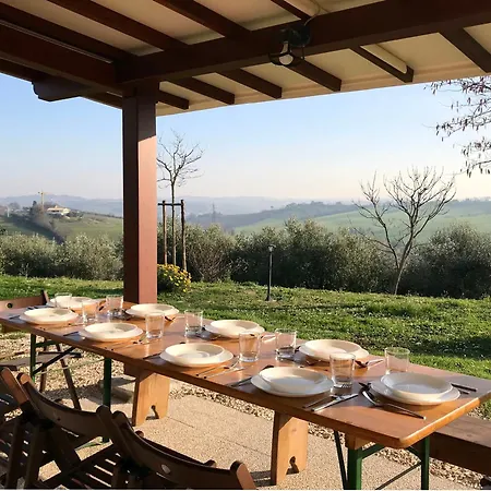 Historic In With Swimming Pool, Barbecue, Gym, Olive Grove And Garden Senigallia